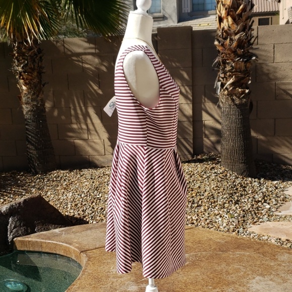 NEW Burgundy & White Fit & Flare Dress - Picture 4 of 6